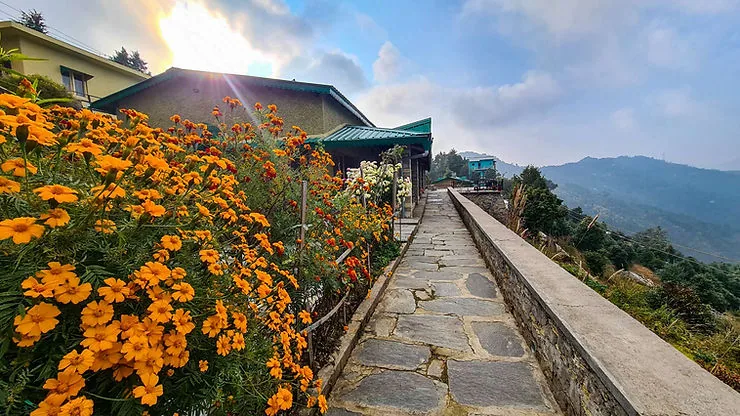 Things to do at Hushstay x Aarish, Guniyalekh near Bhimtal (Kumaon)